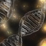 Overall disease burden of genetic risk factors estimated for first time