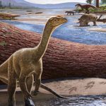 Africa’s oldest known dinosaur discovered by US researchers