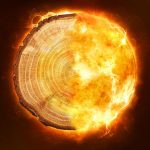 Tree rings offer insight into solar radiation storms