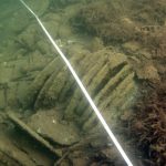 Analysis of middle ages wreck’s cargo provides journey clues