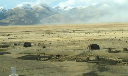 Strong uplift of Tibet Plateau identified