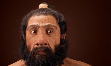 Gene variations have persisted in humans for more than 700,000 years
