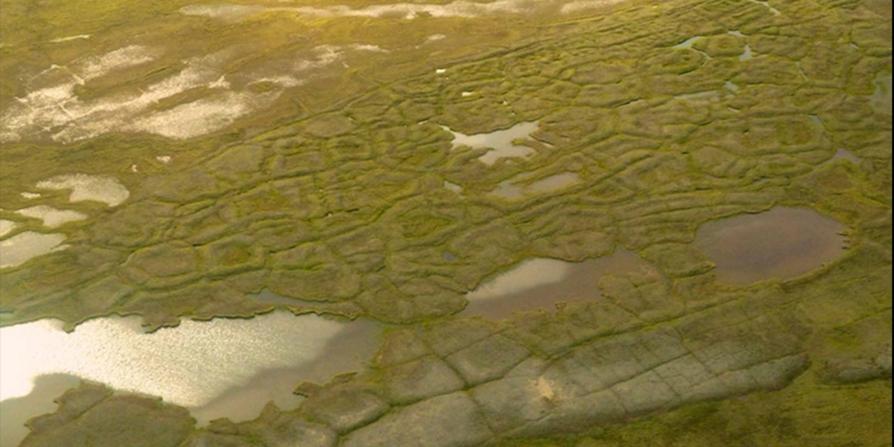 Sinking tundra unlikely to trigger runaway permafrost thaw