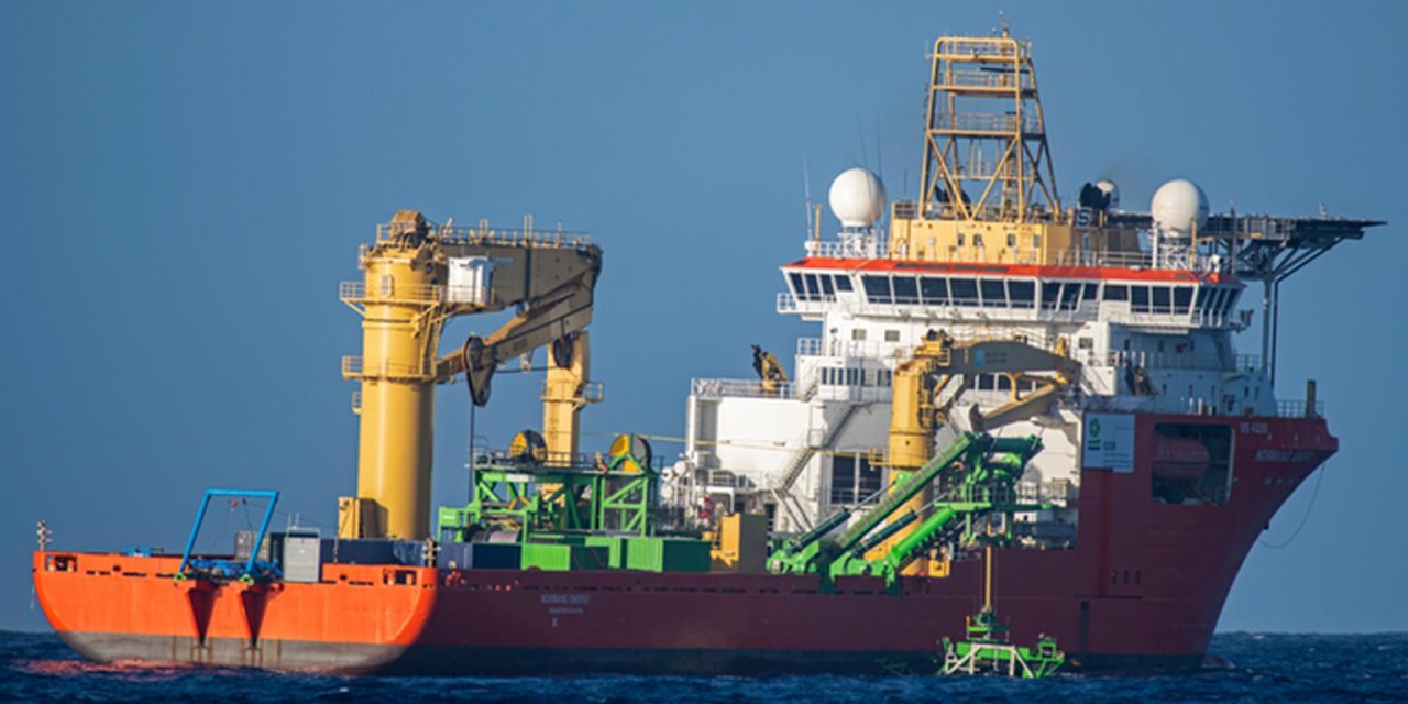 Whale warning as clock ticks towards deep-sea mining