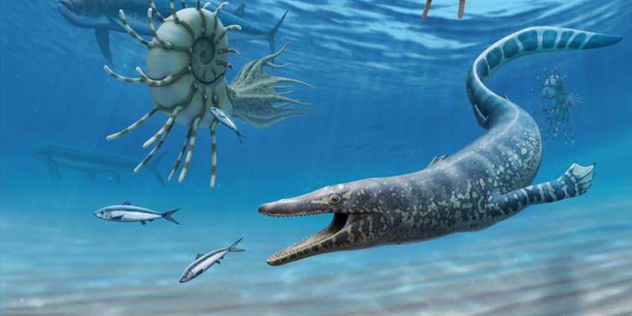 Ancient marine reptile fossil provides evolutionary insight